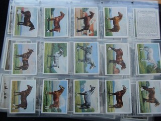 ONE COMPLETE SET CIGARETTE CARDS PLAYERS TYPES OF HORSES