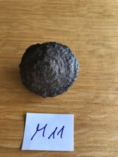 M11 Mix&Match Moqui Marbles- Bilde selbst Dein Paar -Lebende Steine aus Utah/USA