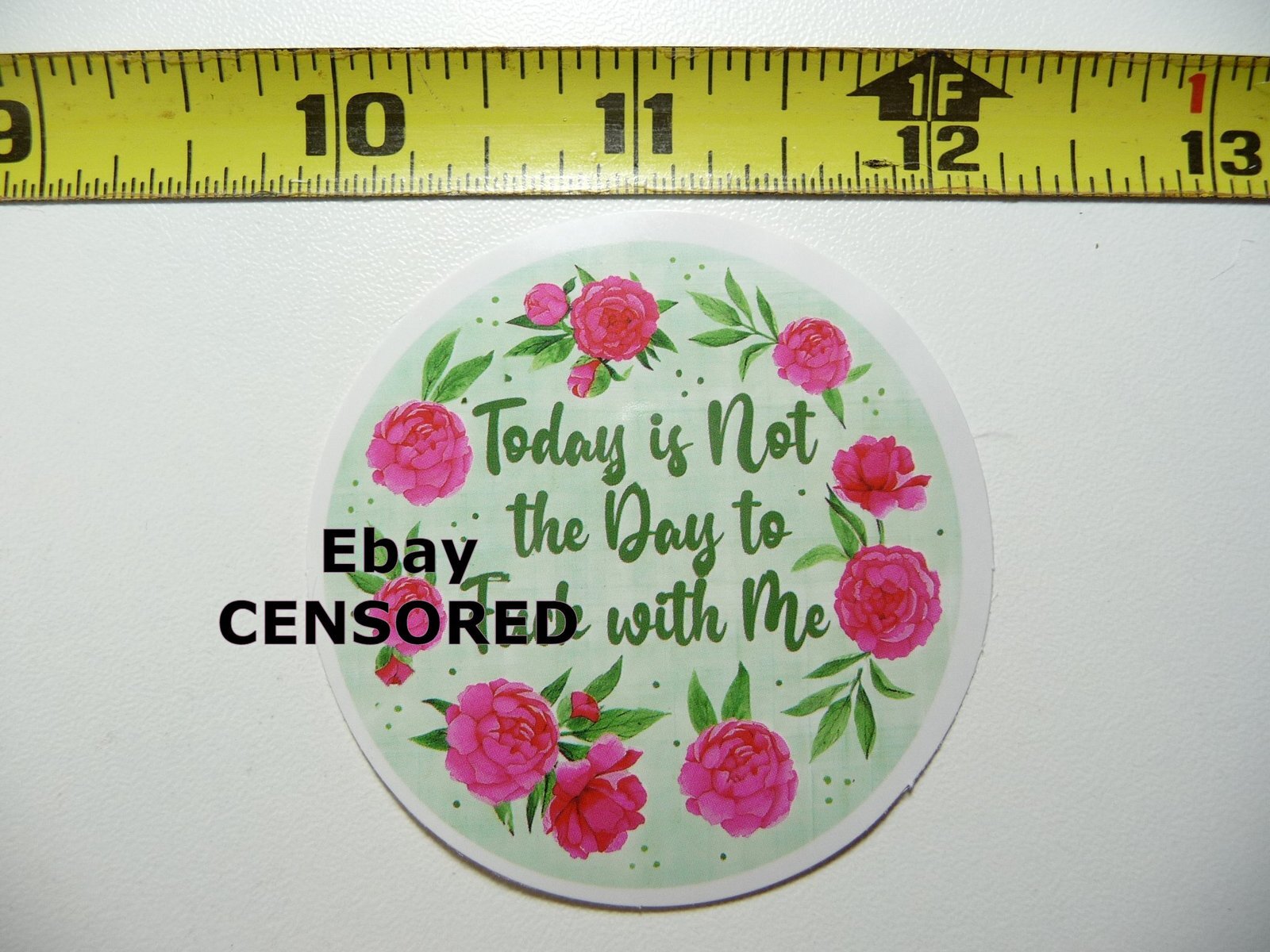 TODAY IS NOT THE DAY TO F**K WITH ME DECAL STICKER FUNNY SARCASM SARCASTIC