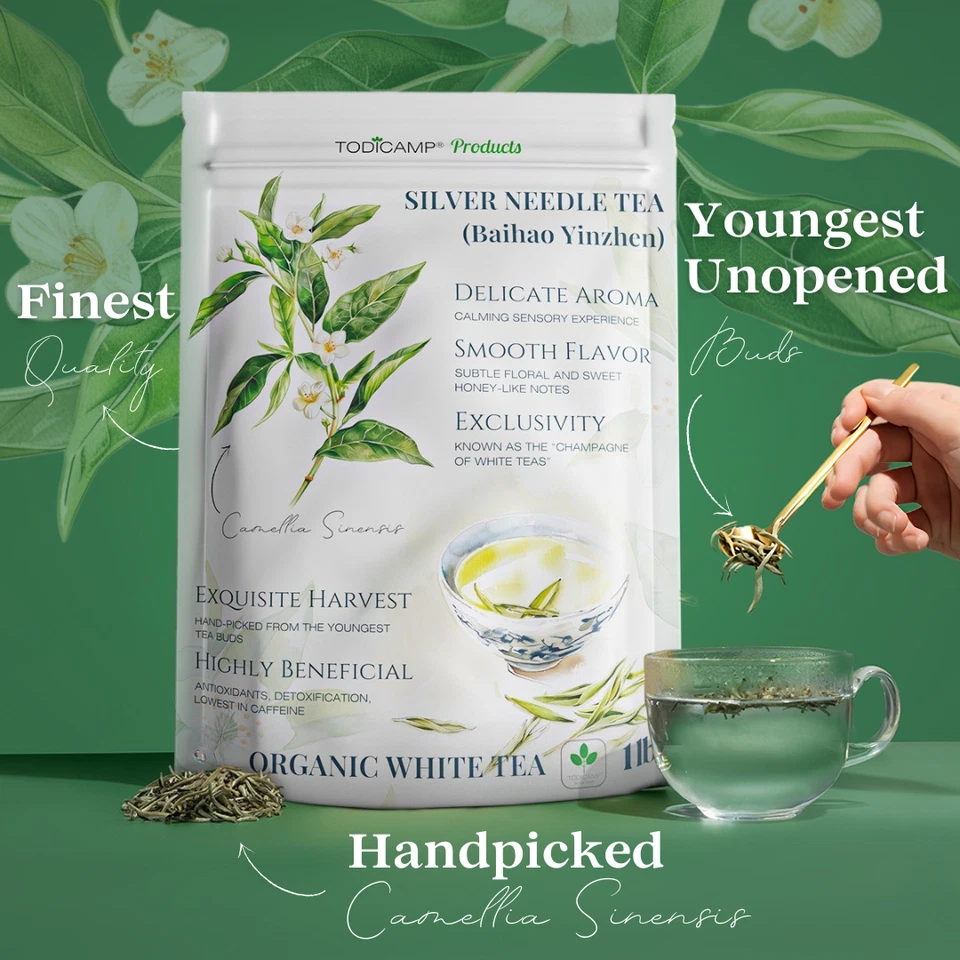Чай с серебряной иглой TODICAMP White Tea — 1 фунт белого чая с серебряной иглой - Изображение 3 из 4