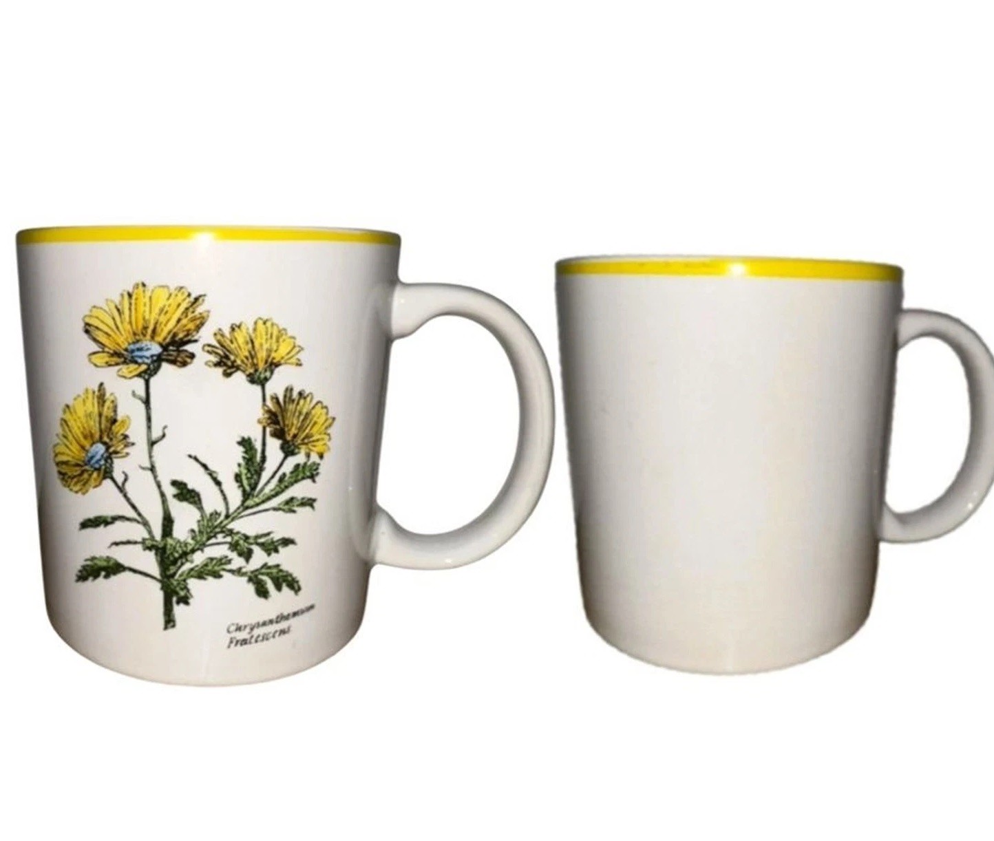 Kengsington Gardens 4 Chrysanthemum Mugs Signature Housewares Inc Japan Vtg