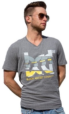 Cooles BLACK ANTZZ T-Shirt BROKEN MIRROR in Grau mit Aufdruck und Emblem, V-Neck