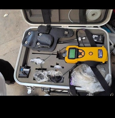 SearchRAE SYSTEMS PGM-1600  Gas detector With probe + charger *lj
