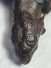 Picture 16 of 21