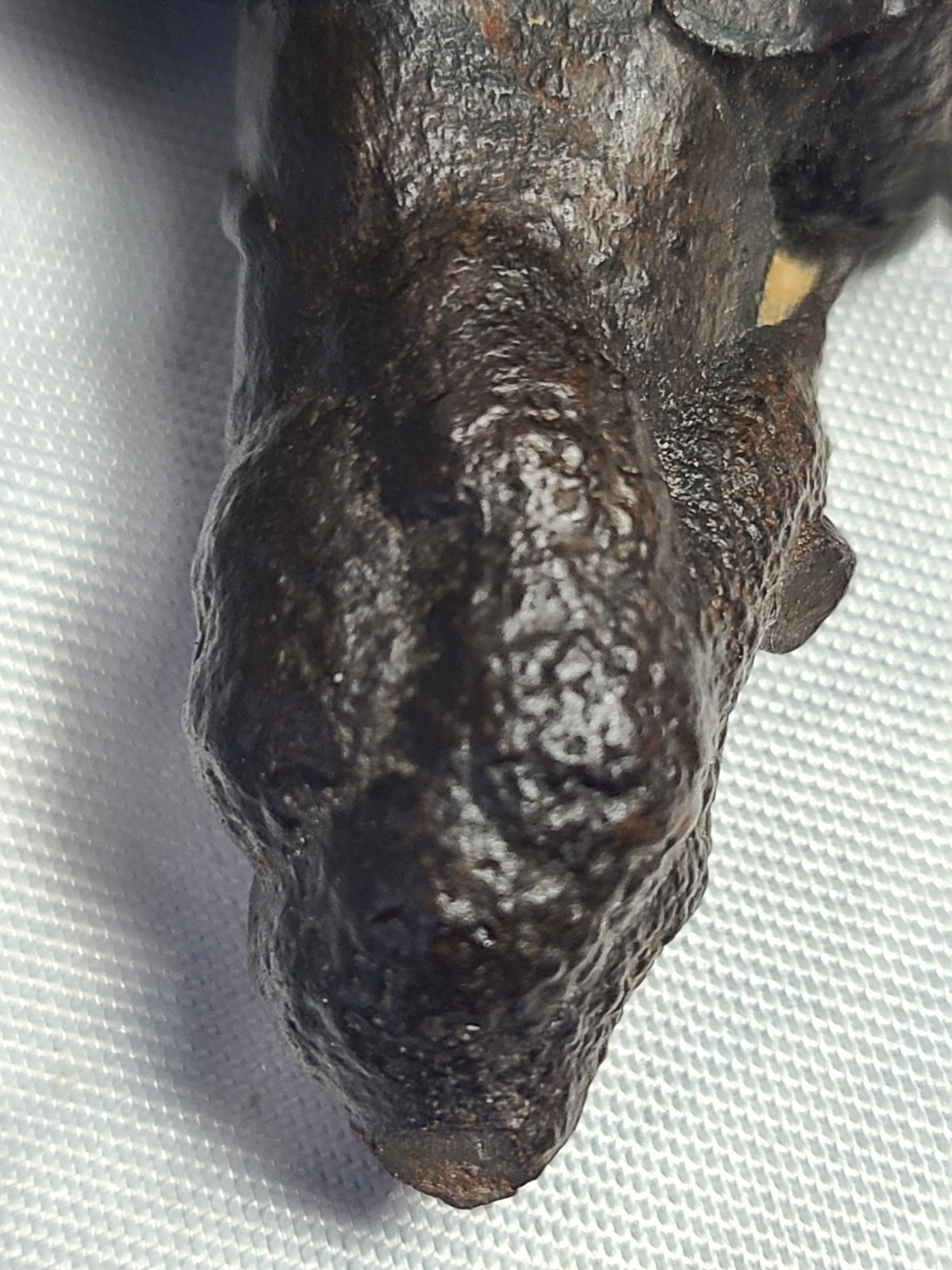 Picture 16 of 21