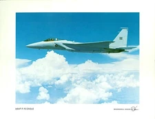 8 x 10 Photo Card F-15 Eagle Fighter Jet Aircraft Original McDonnell Douglas #2