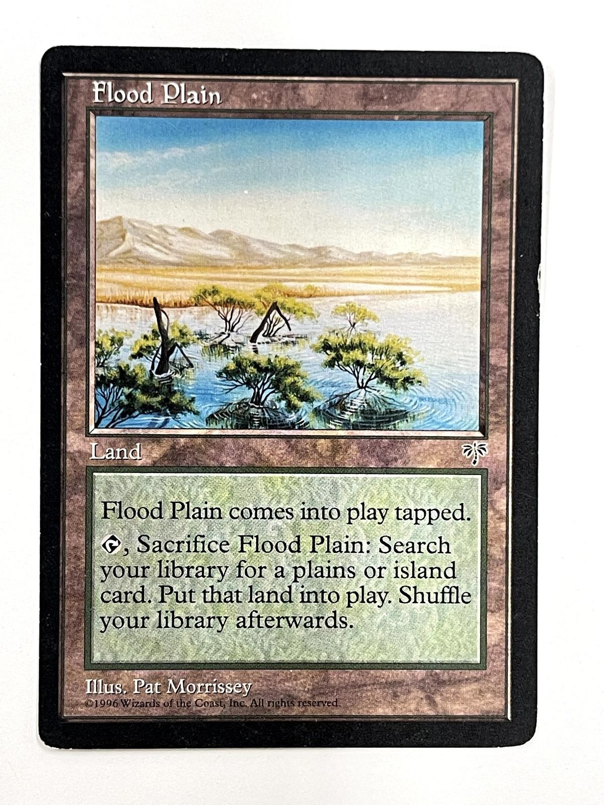 Flood Plain Uncommon Mirage Magic: The Gathering Lightly Played