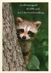 Details About Secret Pal Sweet Raccoon By A Tree Love Romance Hallmark Greeting Card - 