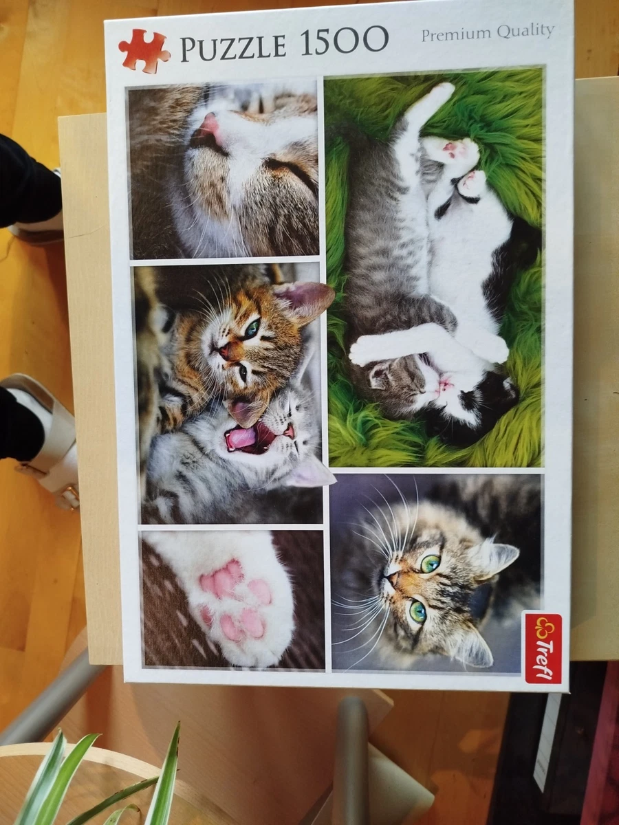 Jumbo 18813 Briefmarken Sammlung Katzen 1000 Teile Puzzle