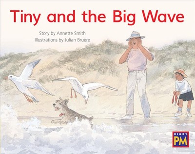 Leveled Reader Yellow Fiction Level 8 Grade 1: Tiny and the Big Wave von Hmh Hmh 