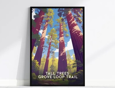 Tall Trees Grove Loop Trail, Redwood National Park, California Poster