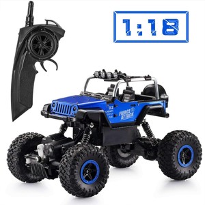 inside a remote control car