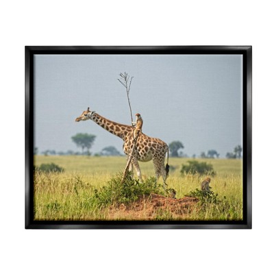 Monkey Riding Giraffe Framed Floater Canvas Wall Art by Dirk Jan Steehouwer