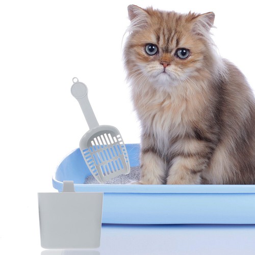2 Pcs Cat Cleaning Accessories Kitten Litter Scoop Cat Litter Tray Box