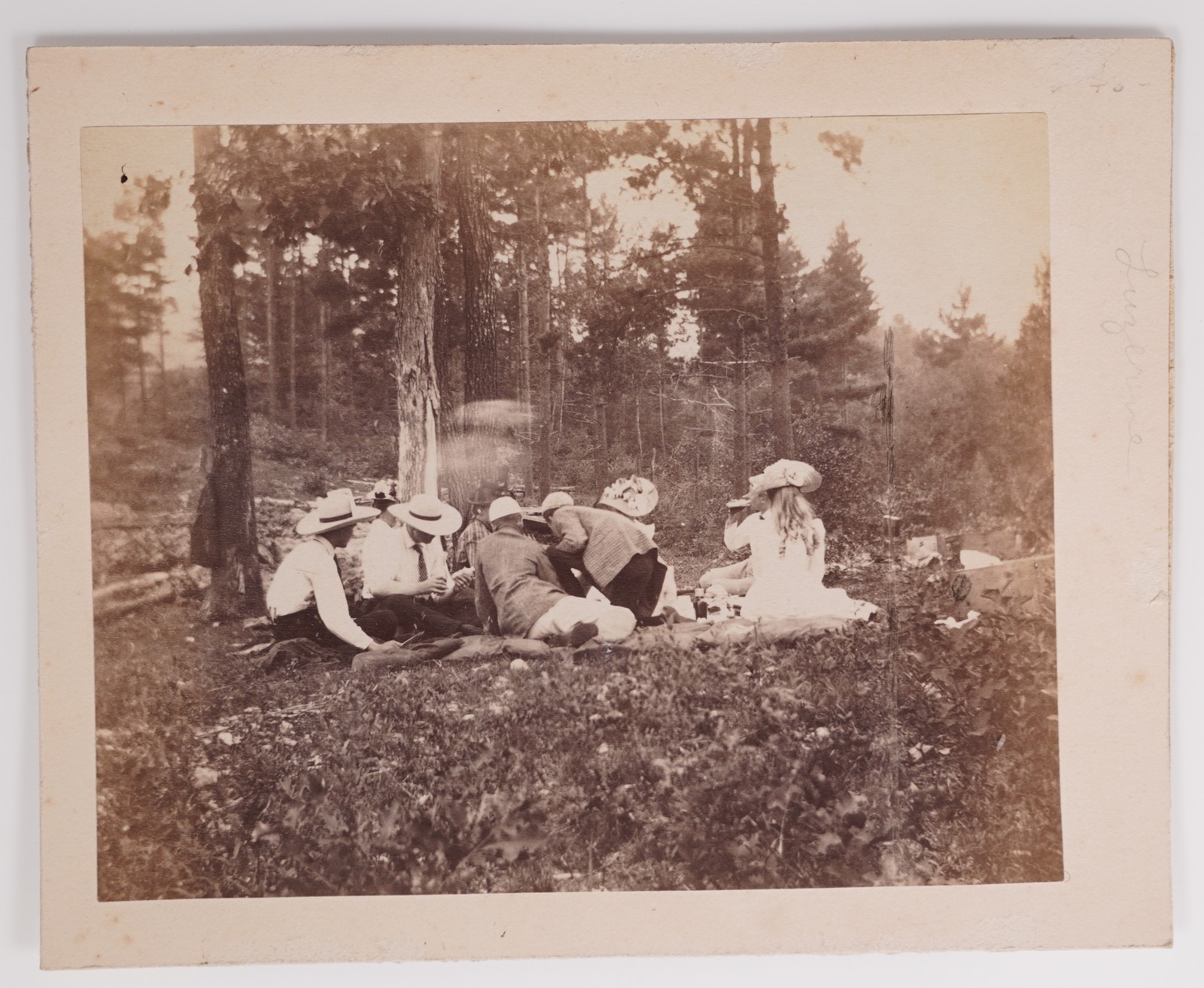 Cabinet Card Log Drive Jam On River With Bridge & Group Picnic Luzerne New York — additional view