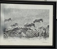 Zebra Print Framed signed & numbered Scott Bushnell Africa Afrohemian Wildlife