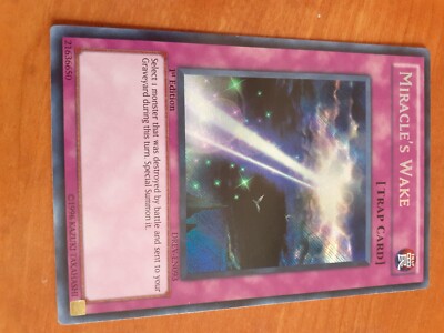 Miracle's Wake DREV en093 Secret Rare Englisch 1st Ed. (DREV fr093)