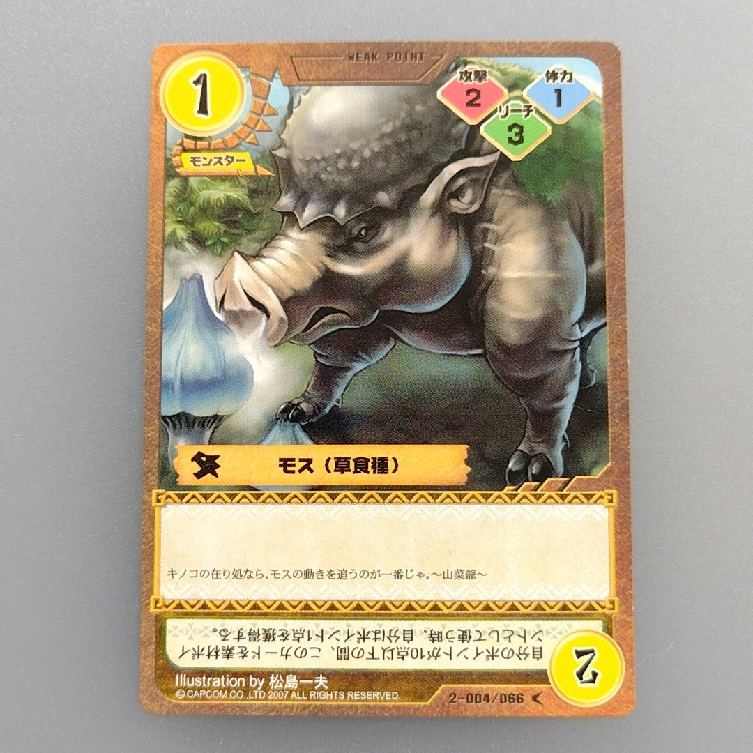 Monster Hunter Trading card 