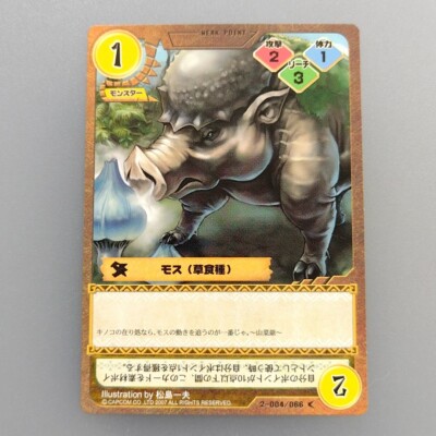 Monster Hunter Trading card 