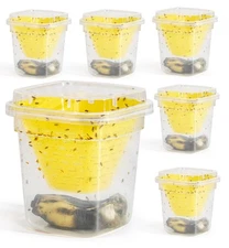 6 Pack Reusable Fruit Fly Trap, Non-Toxic Fruit Fly Catcher, Safe for Kids an...