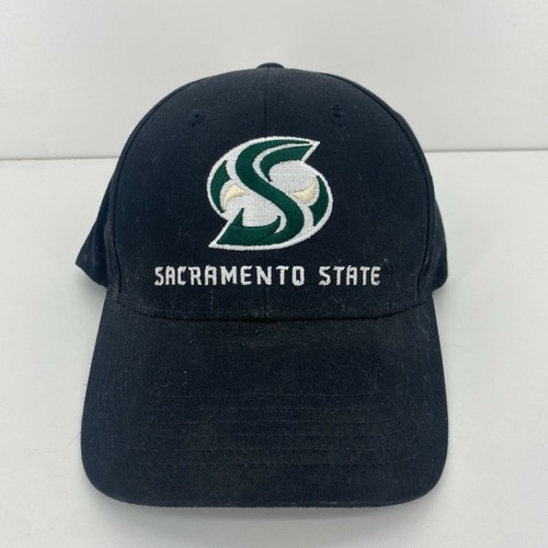 Sacramento State Hornets CSUS Baseball 
