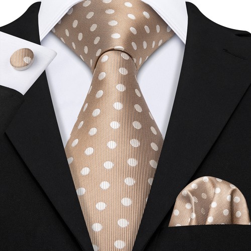 200 Color Mens Ties Paisley Striped Floral Solid Silk Tie Necktie Set Wedding - Imagen 65 de 246