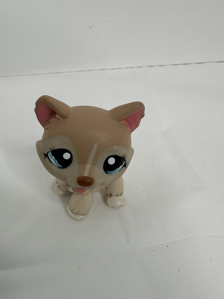 Authentic Littlest Pet Shop C-031 Tan Husky Dog LPS Hasbro Genuine
