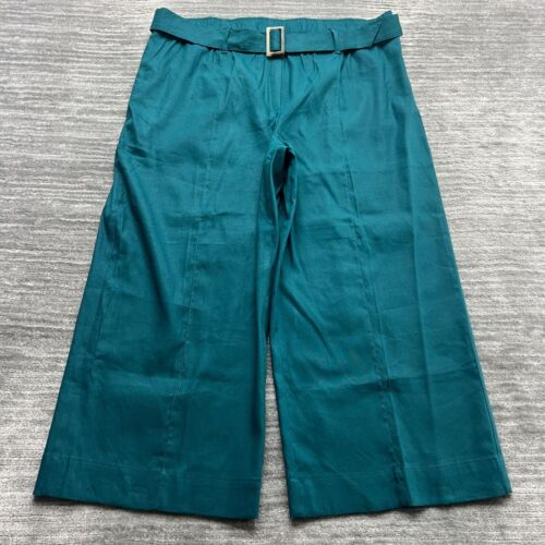 J. Jill Pants Size XL Womens Wide Leg Linen Stretch Belted Green NWT