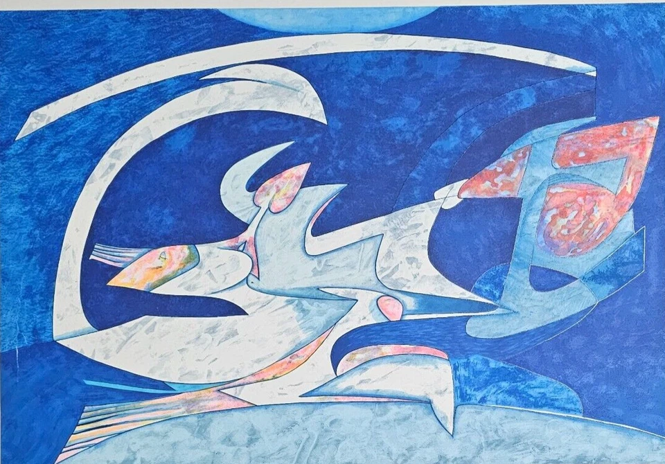 GIANNI DOVA (Roma, 1925 – Pisa, 1991) OPERA SERIGRAFIA con ARCHIVIO cm 60 x 80 - Immagine 2 di 4