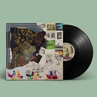 Animal Collective - Time Skiffs 2LP/DL Card - Vinyl Record - F123Z