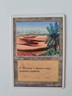 MAGIC CARD - OASIS - EX- ITALIAN