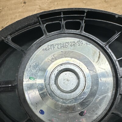 Chihuahua som også er sparebøsse men This Guy's Addicted to Rescuing Chihuahuas | Dodo Heroes - YouTube