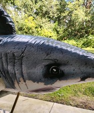 INTEX SHARK RIDE-ON WATER TOY POOL SUMMER FLO...