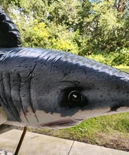 INTEX SHARK RIDE-ON WATER TOY POOL FLOAT 68” x 42” INFLATABLE FLOATY 2016 