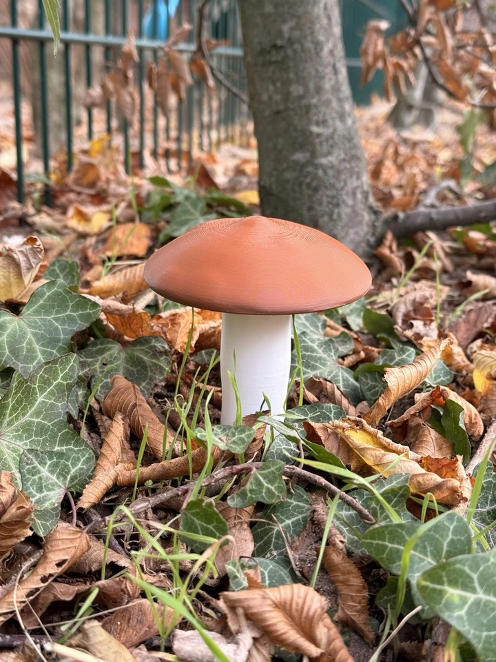 Geocaching Nascondiglio per Funghi - Stampato in 3D con Scomparto per Diario di Logo - Immagine 2 di 4