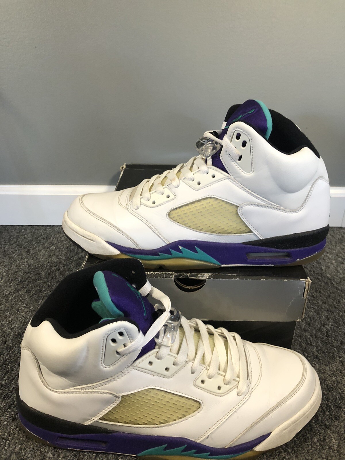 jordan 5 grape 2006