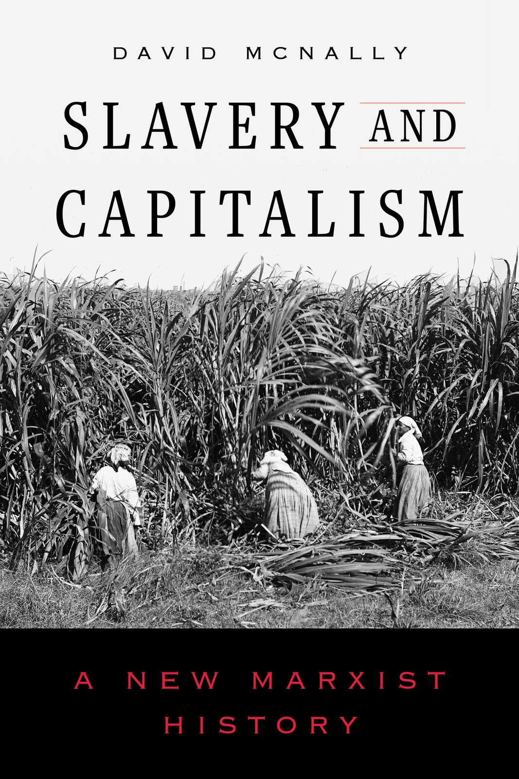 Slavery And Capitalism : A New Marxist History David Mcnally - Image 5
