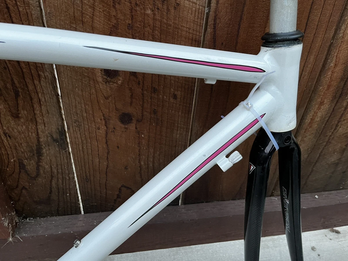 Nashbar carbon best sale frame