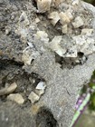 Bild 19 von 22