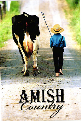 Unposted Postcard AMISH COUNTRY PA photo by Don Shenk American Souvenirs & Gifts