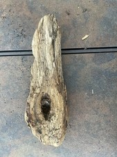 Natural Driftwood for Plants Terrarium Taxidermy Art Projects