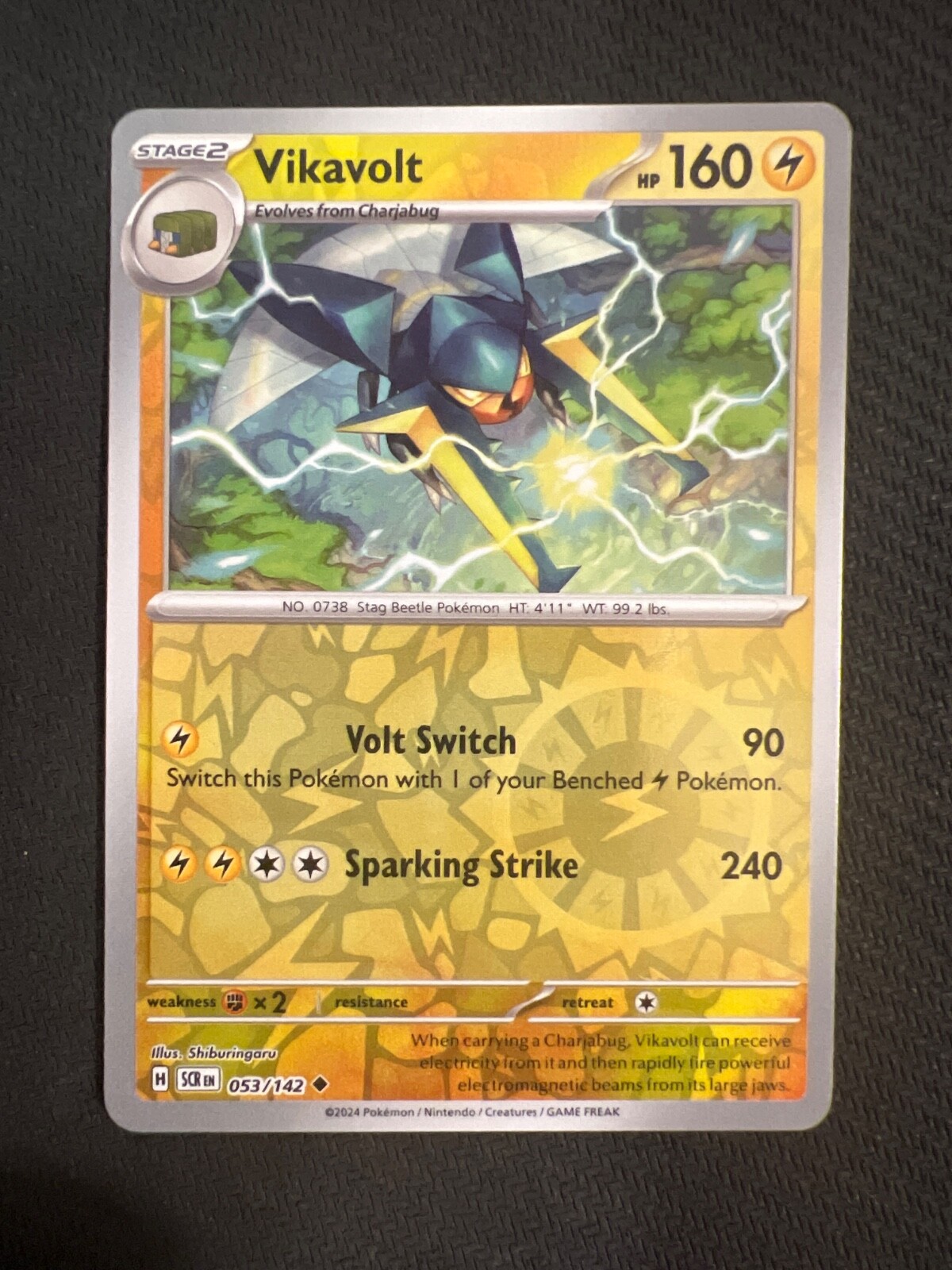 Bild 43 von 52