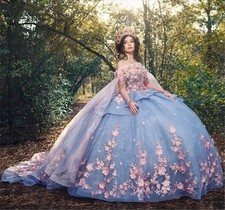 Sky Blue Lace Quinceanera Dresses with Cap Floral Beading Ball Gown Sweet 16