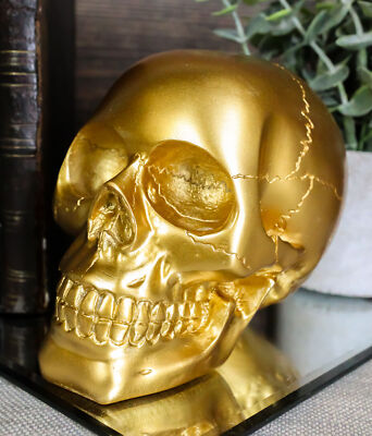 Gold Skull Head Collectible Skeleton Decoration Figurine