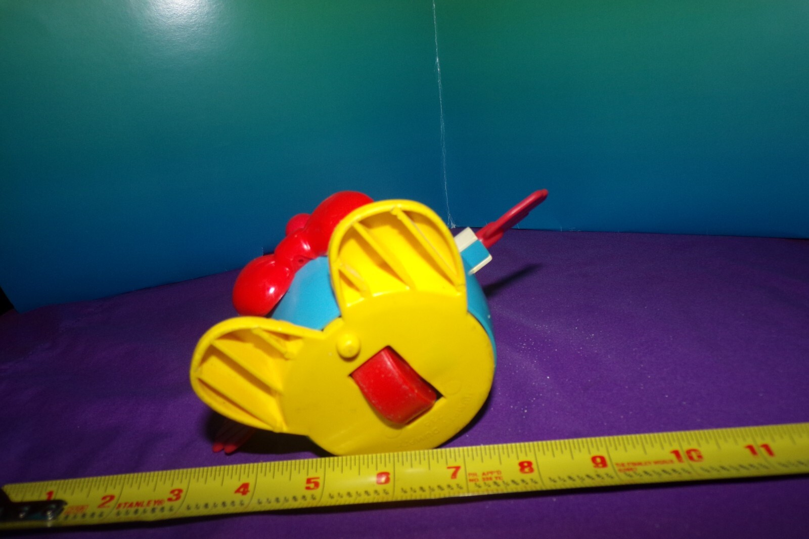 Picture 6 of 6