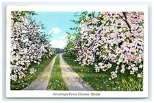 Postcard Greetings from Clinton Maine Posted 1938 Linen Pink Flowering Trees