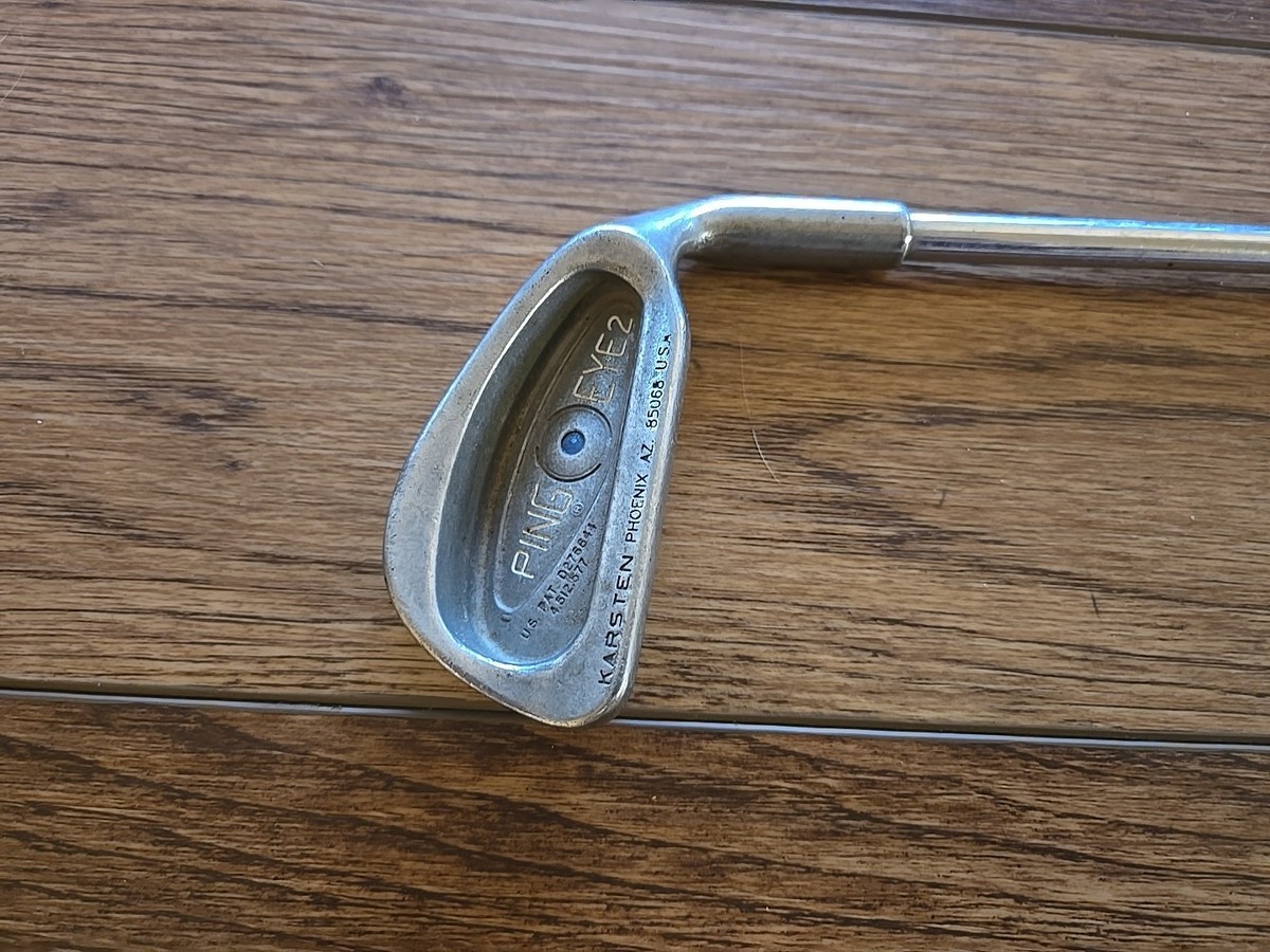Ping Eye2 Blue Dot Eye 2 Single 5 Iron ZZ Lite Shaft | eBay