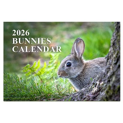 PACKWITH STICKER Bunnies A4 Calendar 2026 – 12 Month Wall Calendar Jan to Dec, Cute Rabbit Photos