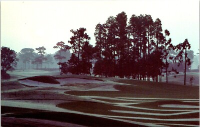 Postcard Saddlebrook Golf Course Wesley Chapel Tampa Florida D178