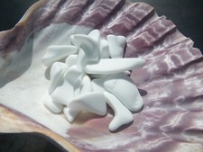 Sea Glass, Collection of White Milk Glass
